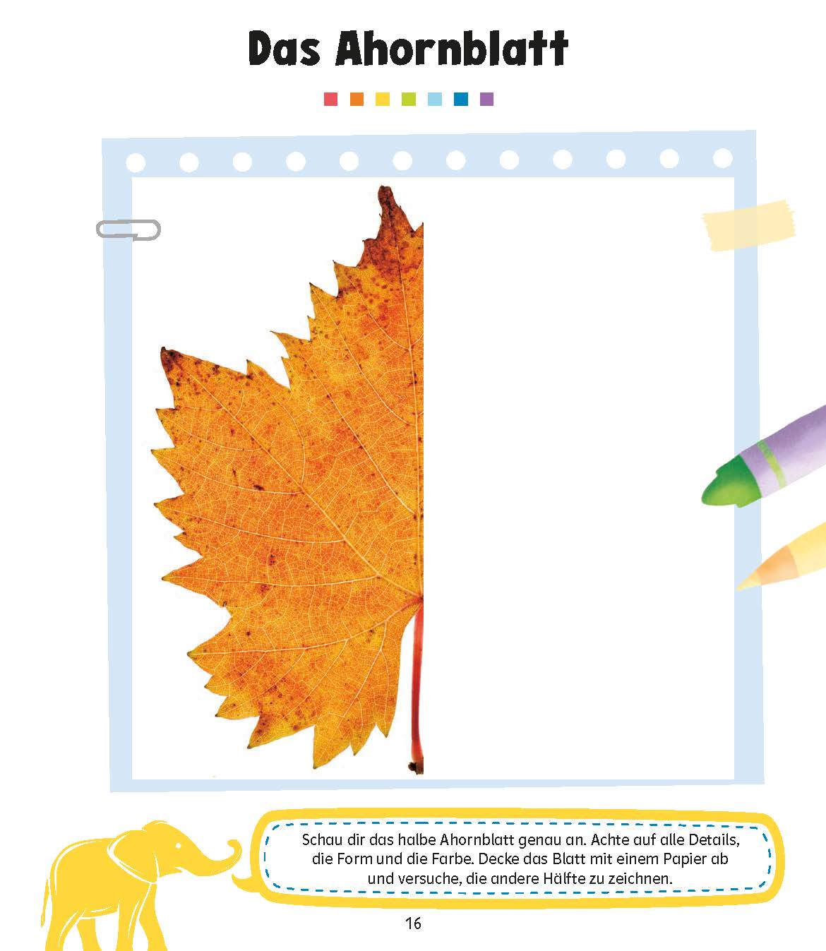 QUID+ 50 Konzentrations- und Denkspiele