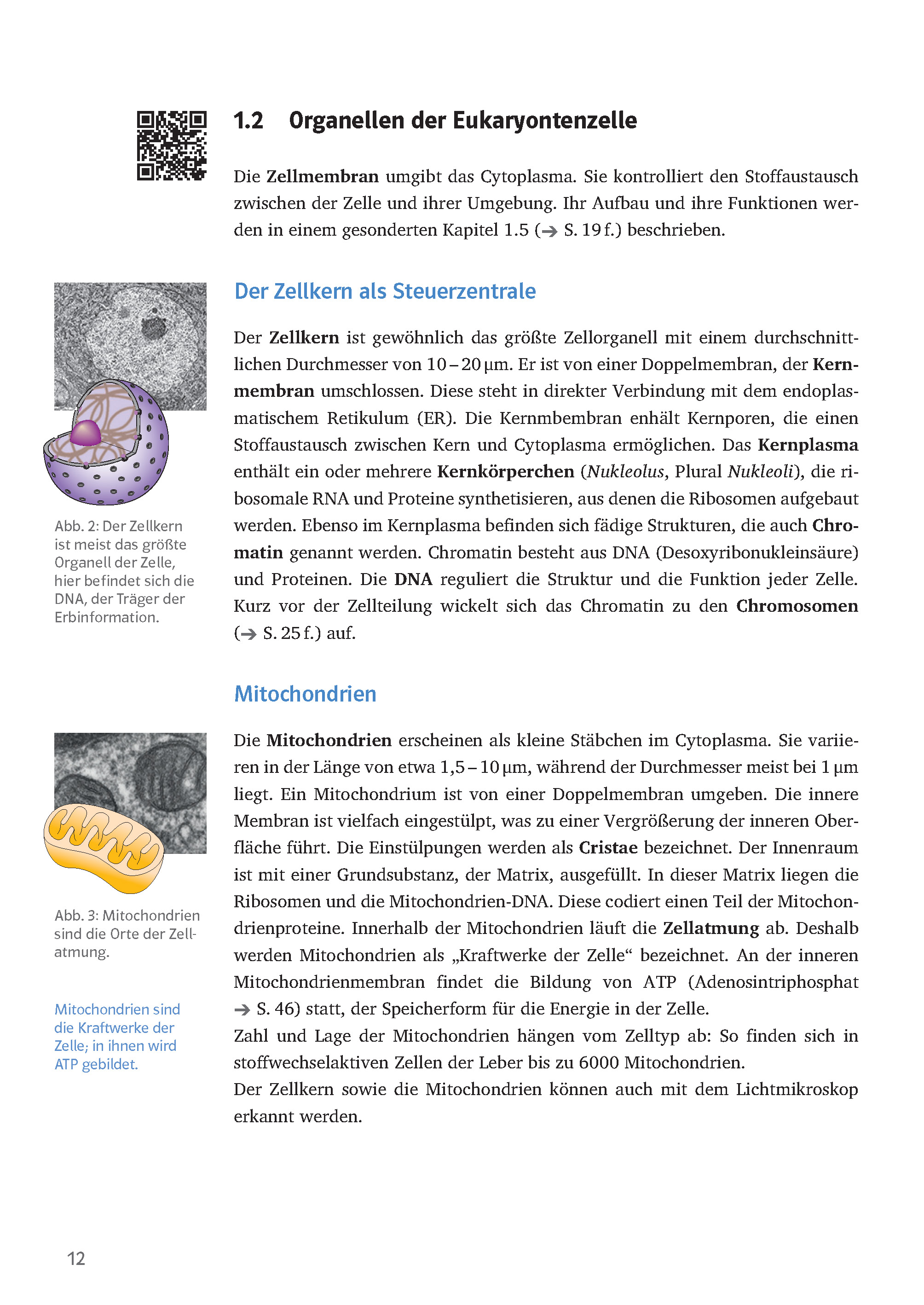 Klett Sicher im Abi Oberstufen-Wissen Biologie