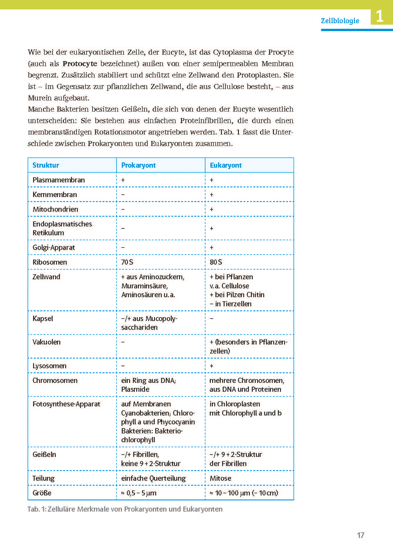 Klett Sicher im Abi Biologie