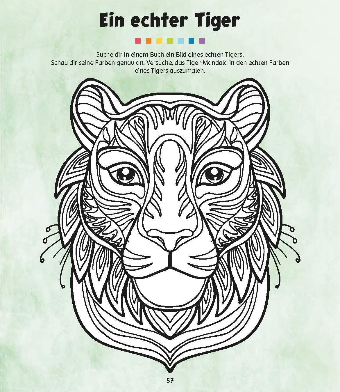 QUID+ 50 Mandalas