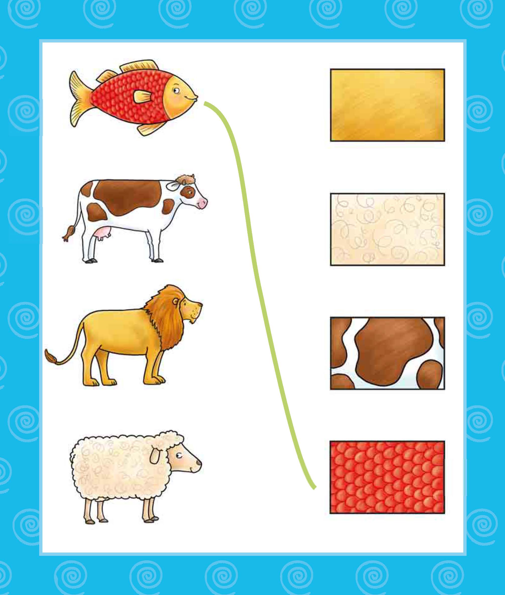 Vier Tiere werden ihrer Haut- oder Körpertextur zugeordnet: Fisch zu Schuppen, Kuh zu Haut, Löwe zu Fell und Schaf zu Wolle, mit farbigen Texturbeispielen auf der rechten Seite.