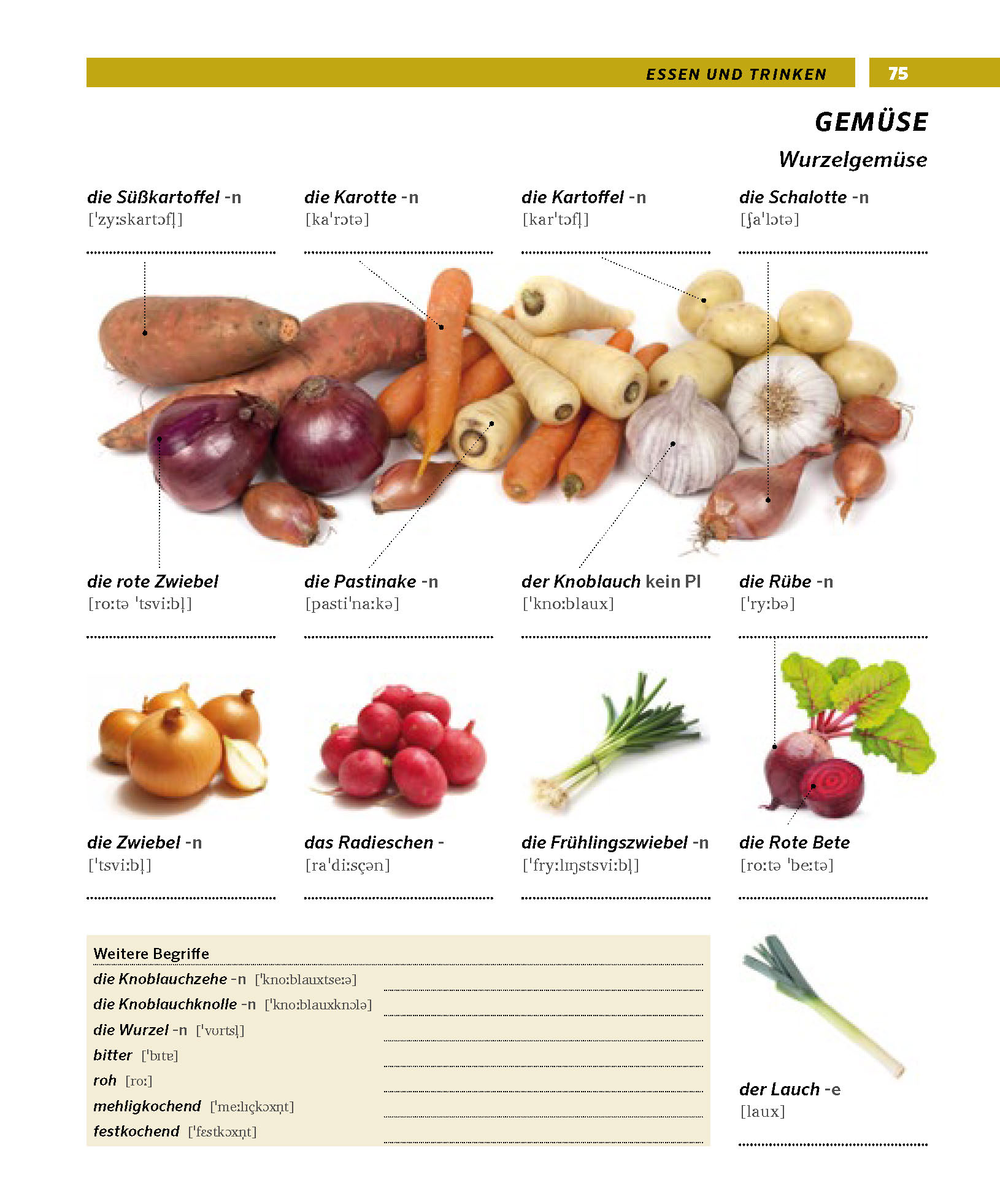 PONS Bildwörterbuch Deutsch als Fremdsprache