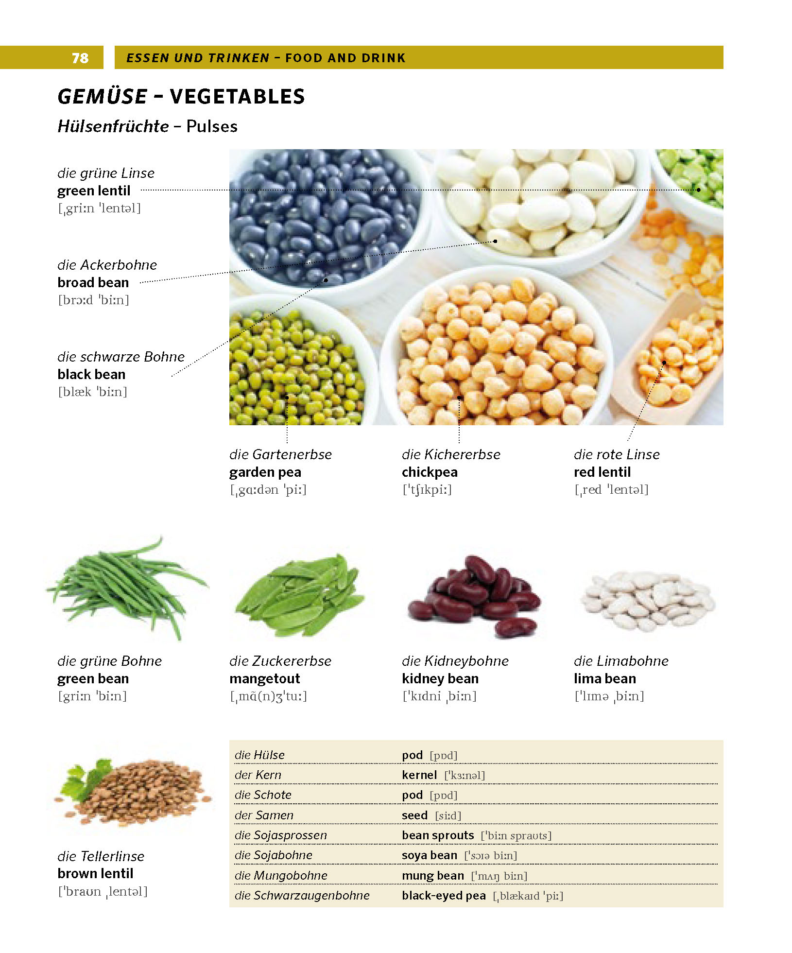 PONS Bildwörterbuch Englisch