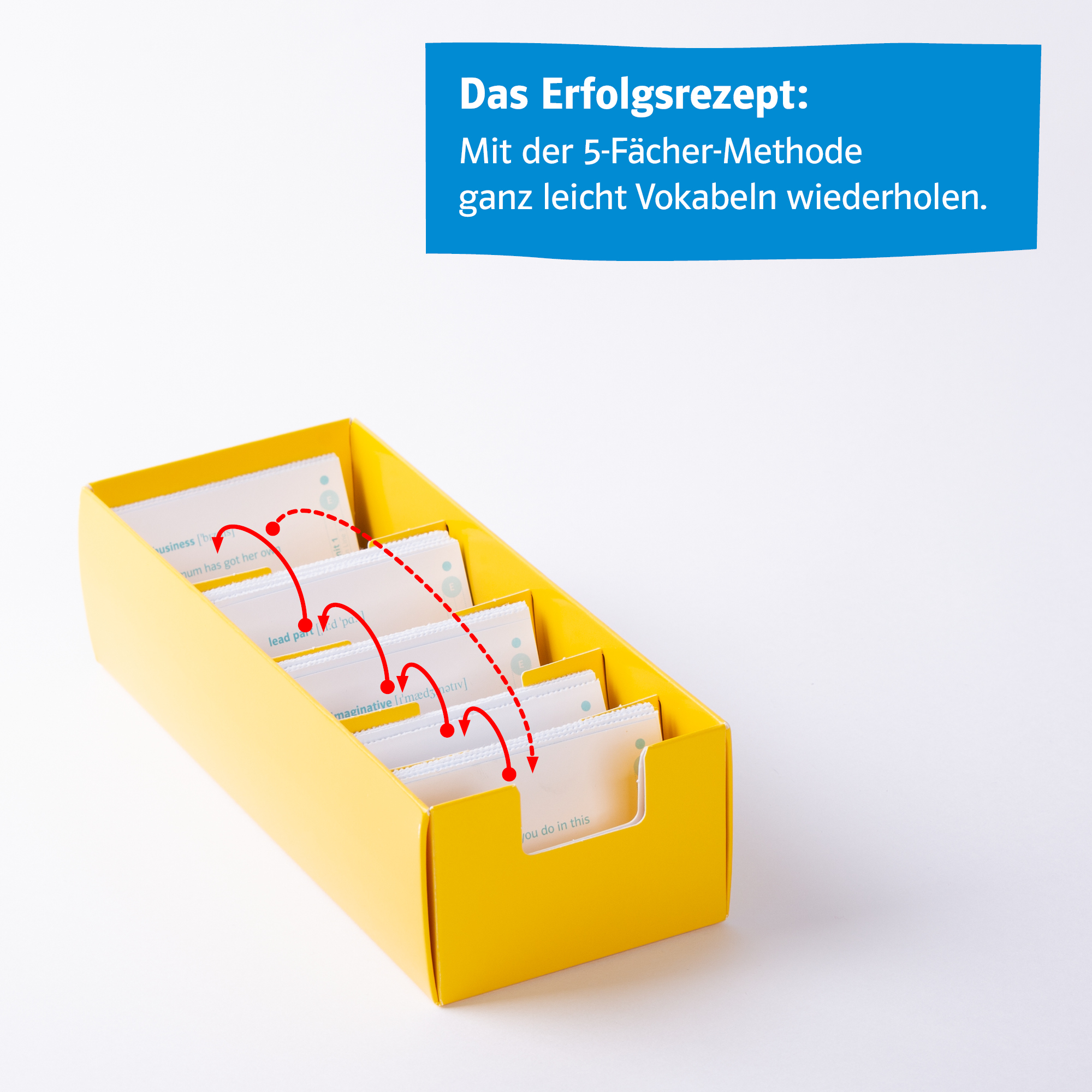 Klett Green Line 3 G9 Klasse 7 - Vokabel-Lernbox zum Schulbuch