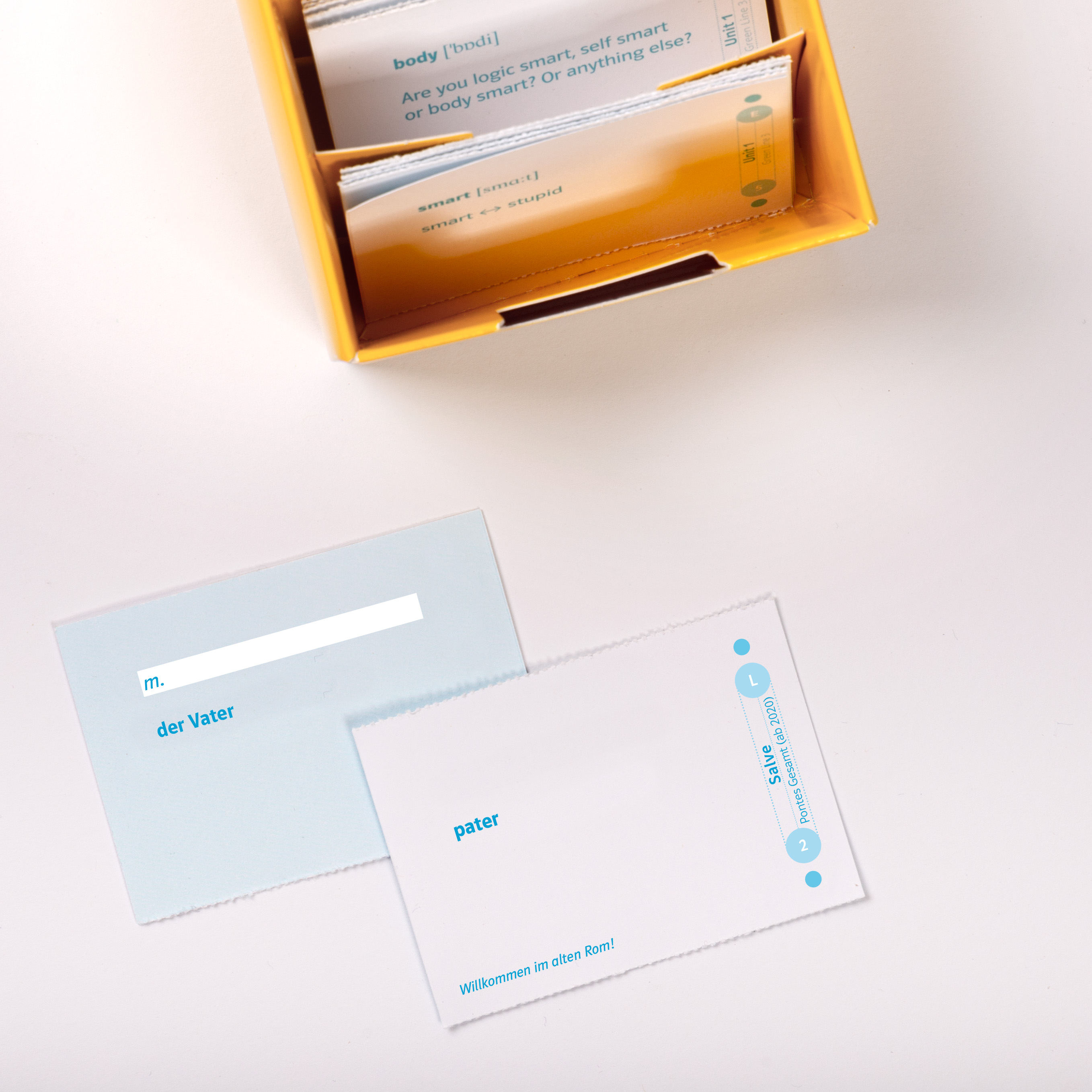 Pontes Gesamtband 1 (ab 2020) Vokabel-Lernbox zum Schulbuch 1. Lernjahr Pontes Gesamtband 1 (ab 2020) Vokabel-Lernbox zum Schulbuch 1. Lernjahr