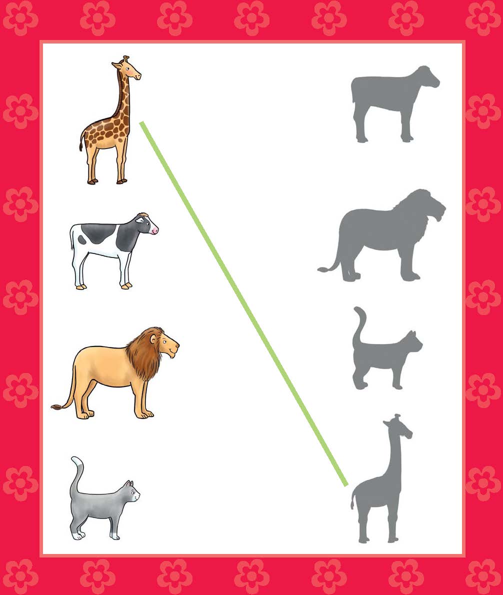 Vier abgebildete Tiere (Giraffe, Kuh, Löwe, Katze) auf der linken Seite sind ihren grauen Silhouetten auf der rechten Seite zuzuordnen, die durch eine diagonale grüne Linie getrennt sind.