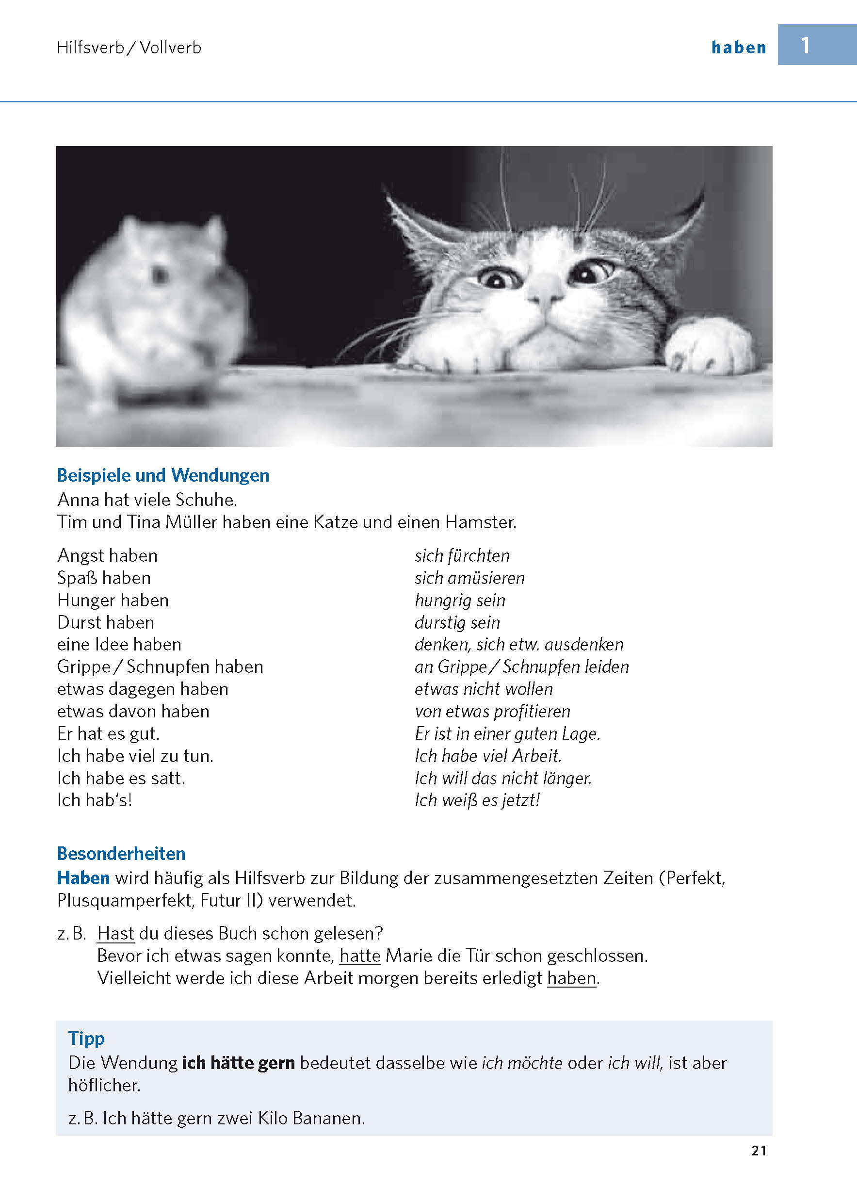 PONS Verbtabellen Plus Deutsch als Fremdsprache