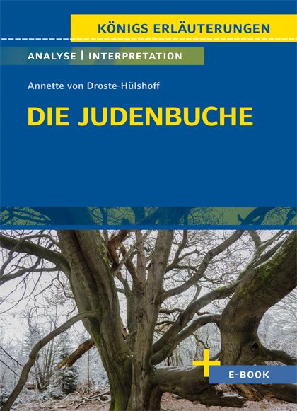 Die Judenbuche von Annette von Droste-Hülshoff