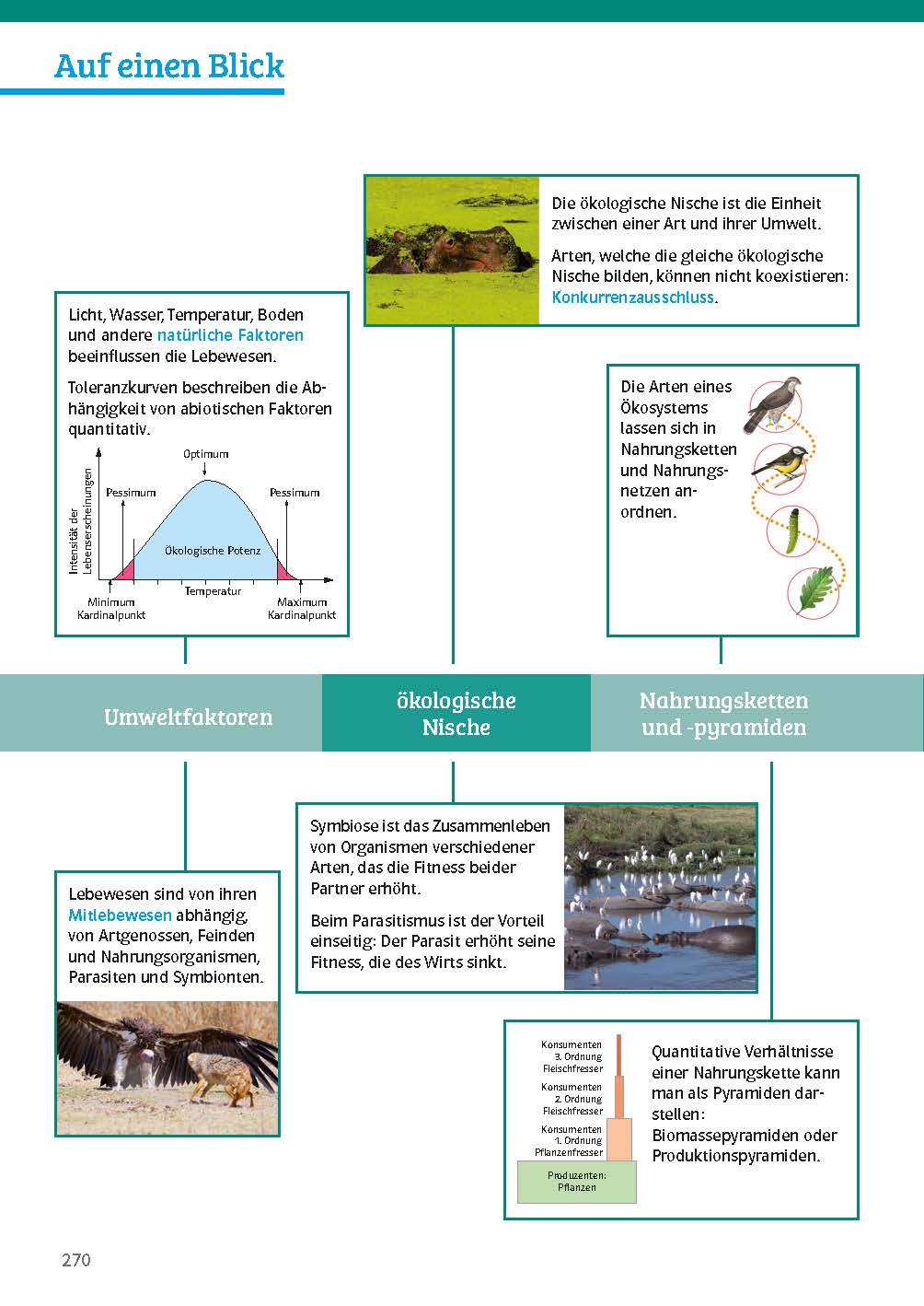 Klett Sicher im Abi Biologie