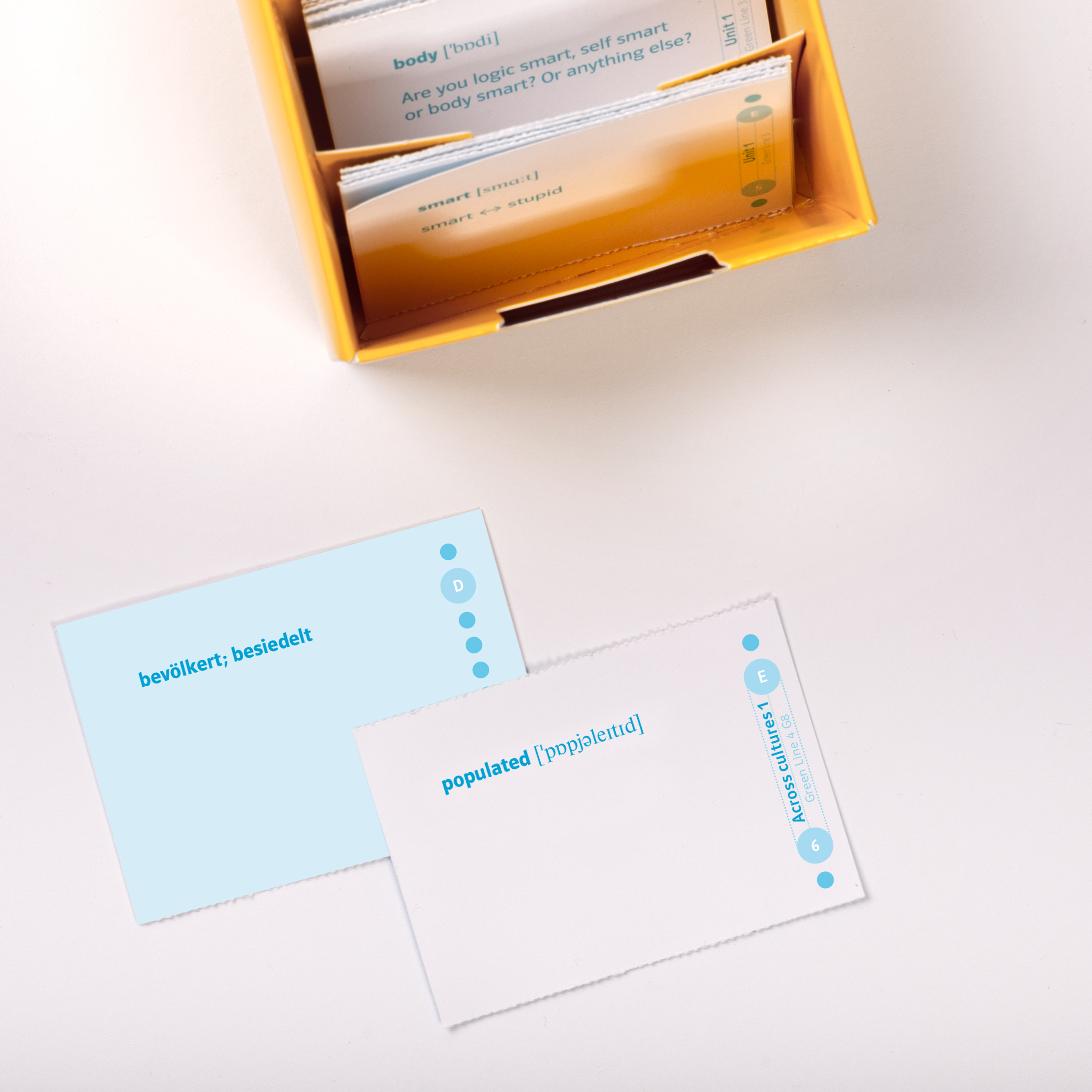 Green Line 4 G8 Klasse 8 Vokabel-Lernbox zum Schulbuch