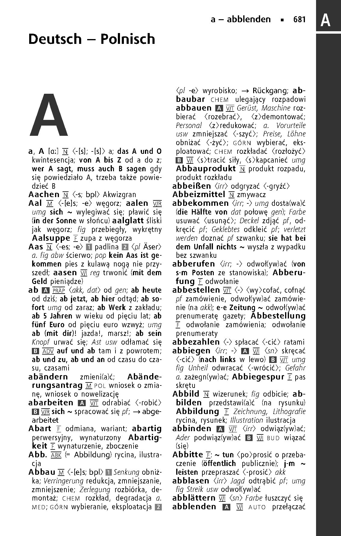 Langenscheidt Taschenwörterbuch Polnisch