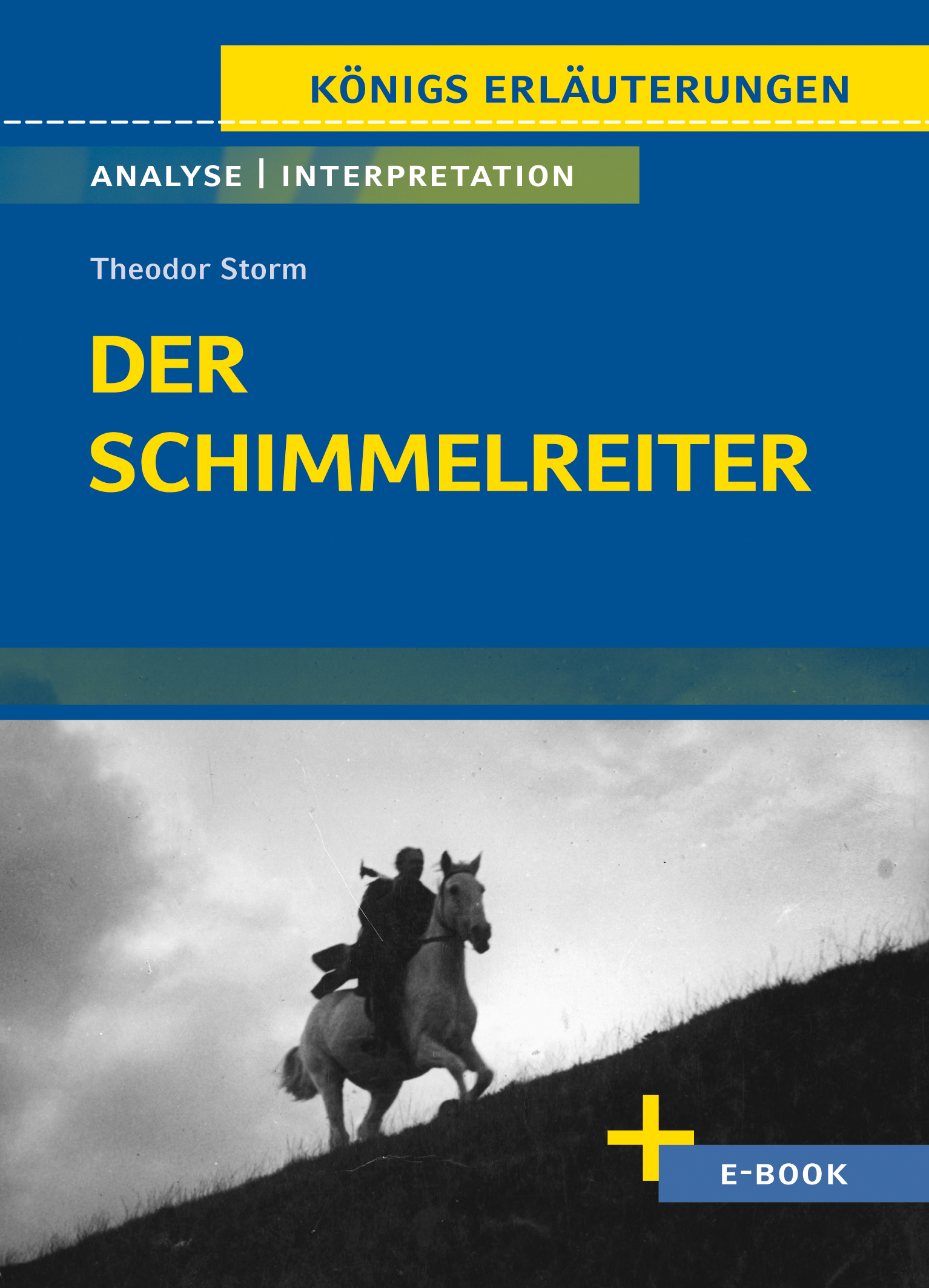 Der Schimmelreiter von Theodor Storm