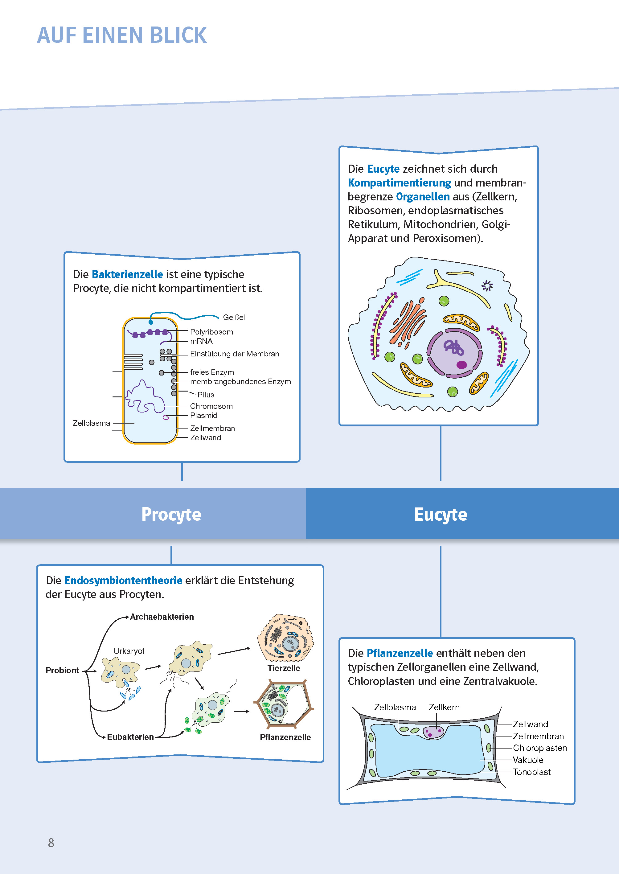 Klett Sicher im Abi Oberstufen-Wissen Biologie Klett Sicher im Abi Oberstufen-Wissen Biologie