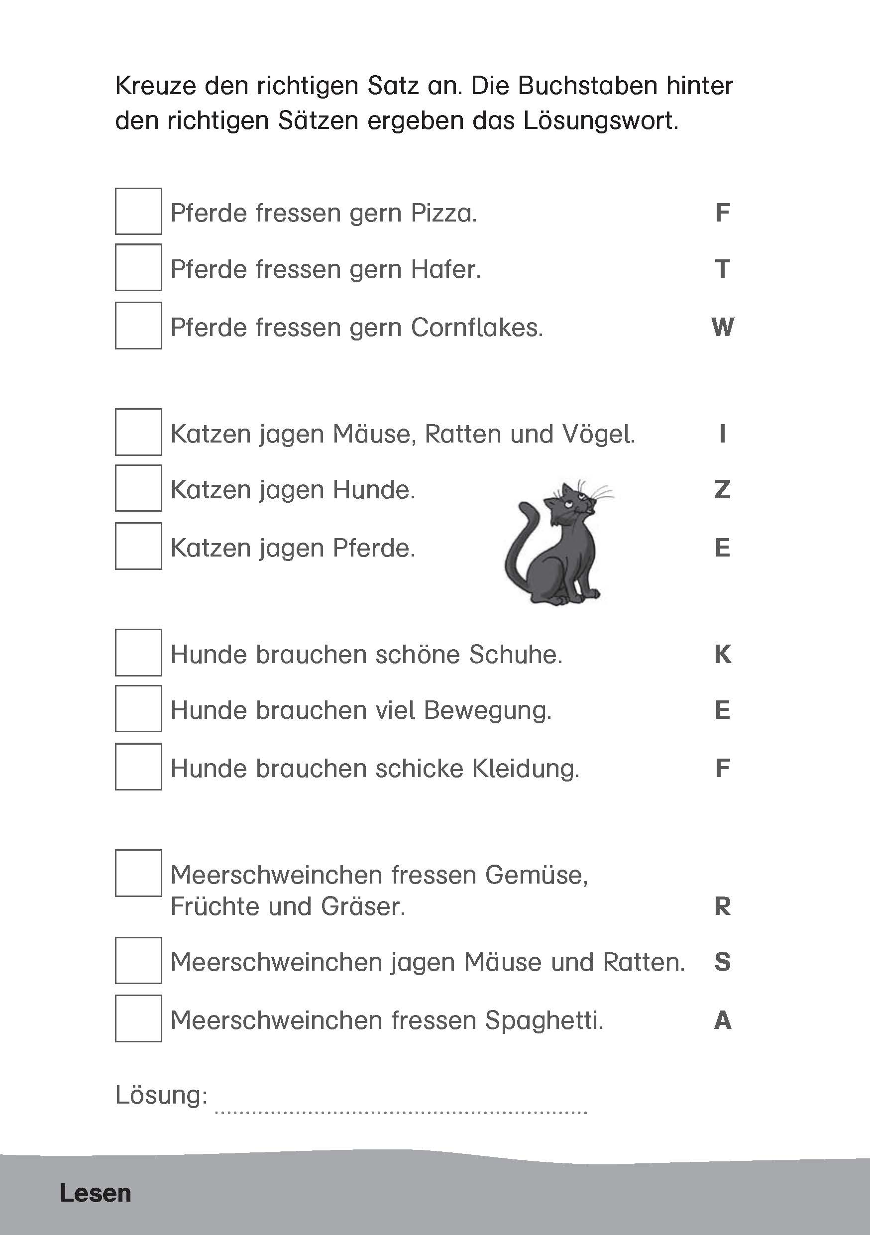 Klett Der super Grundschul-Rätsel-Block