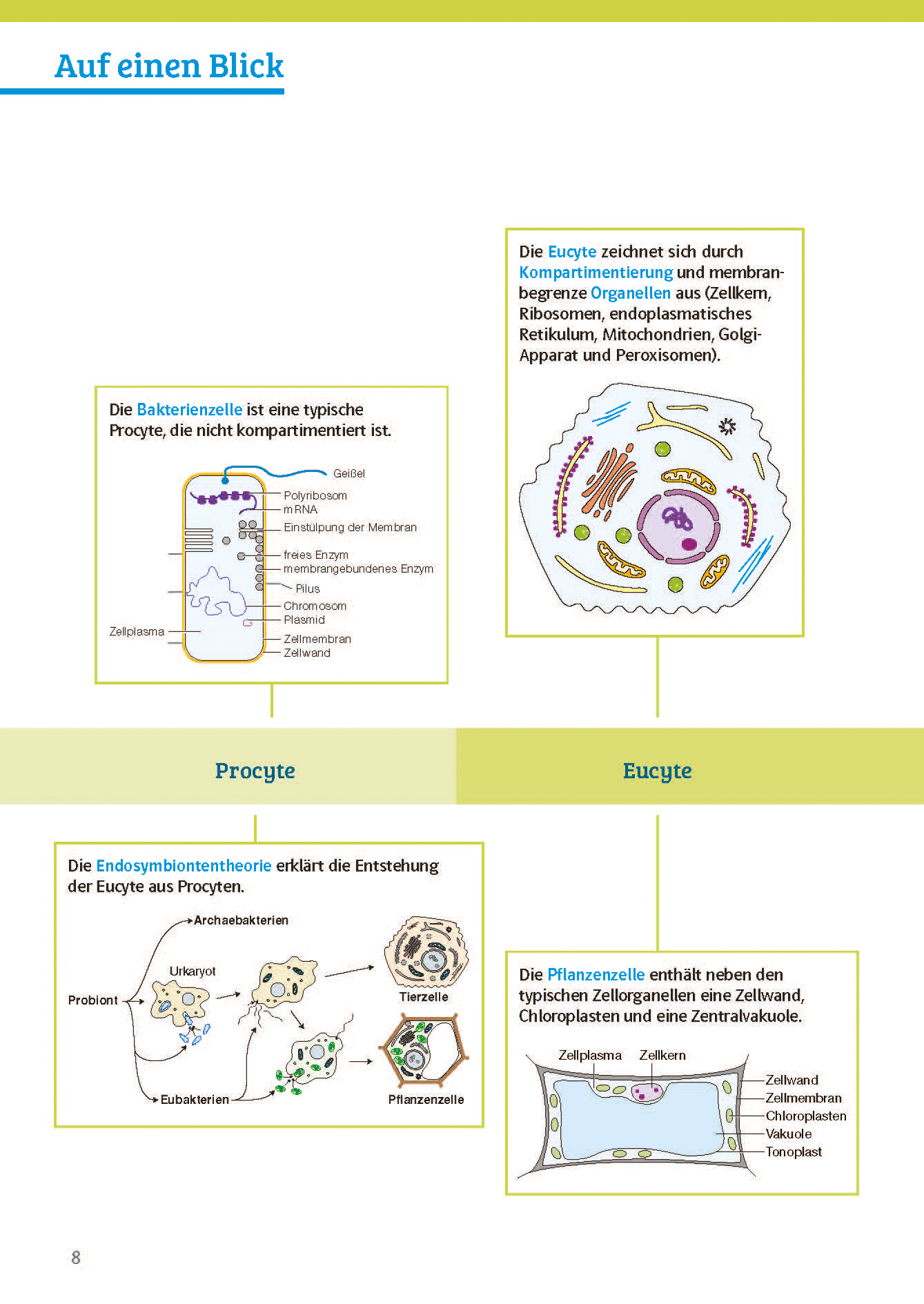 Klett Sicher im Abi Biologie