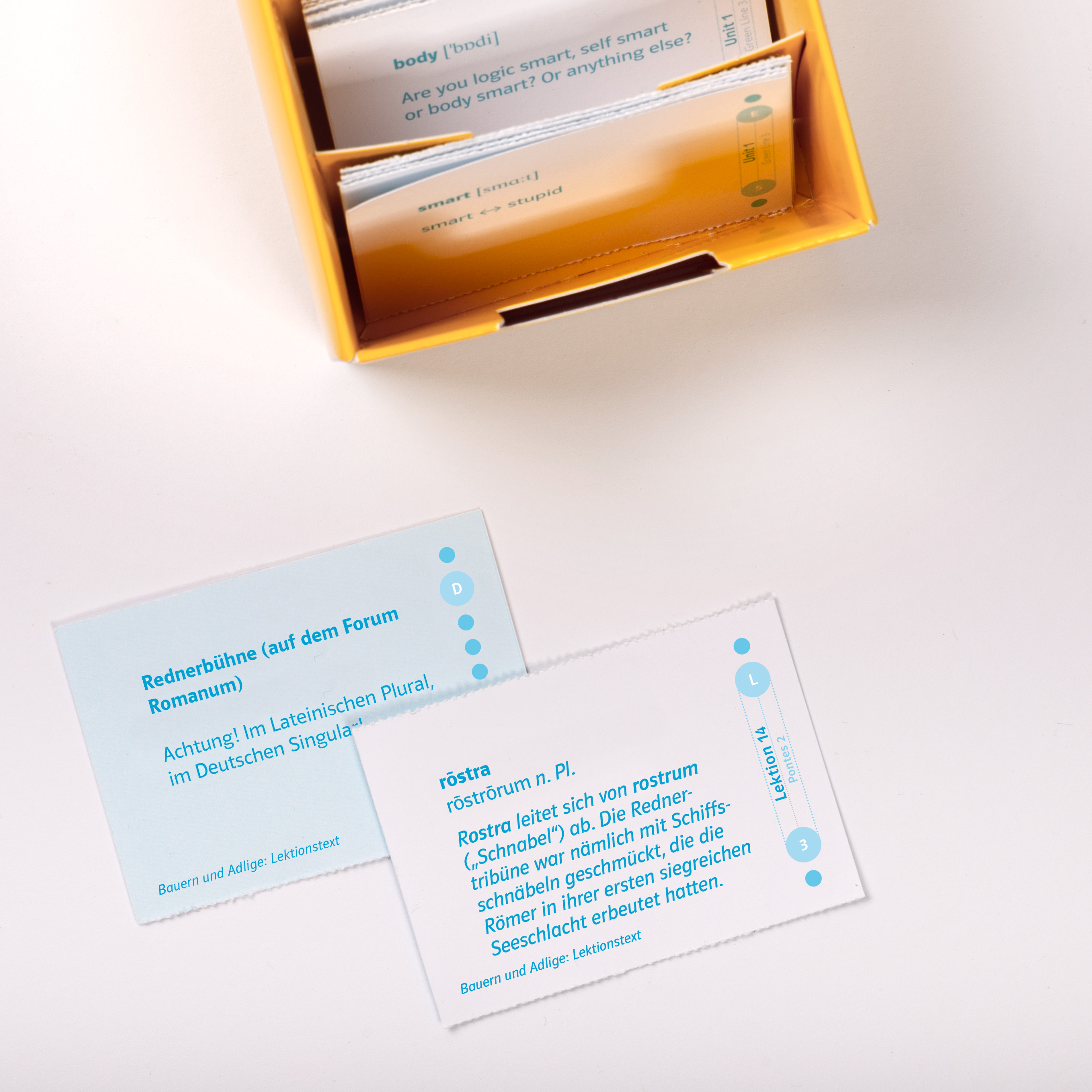 Pontes 2 - Vokabel-Lernbox zum Schulbuch