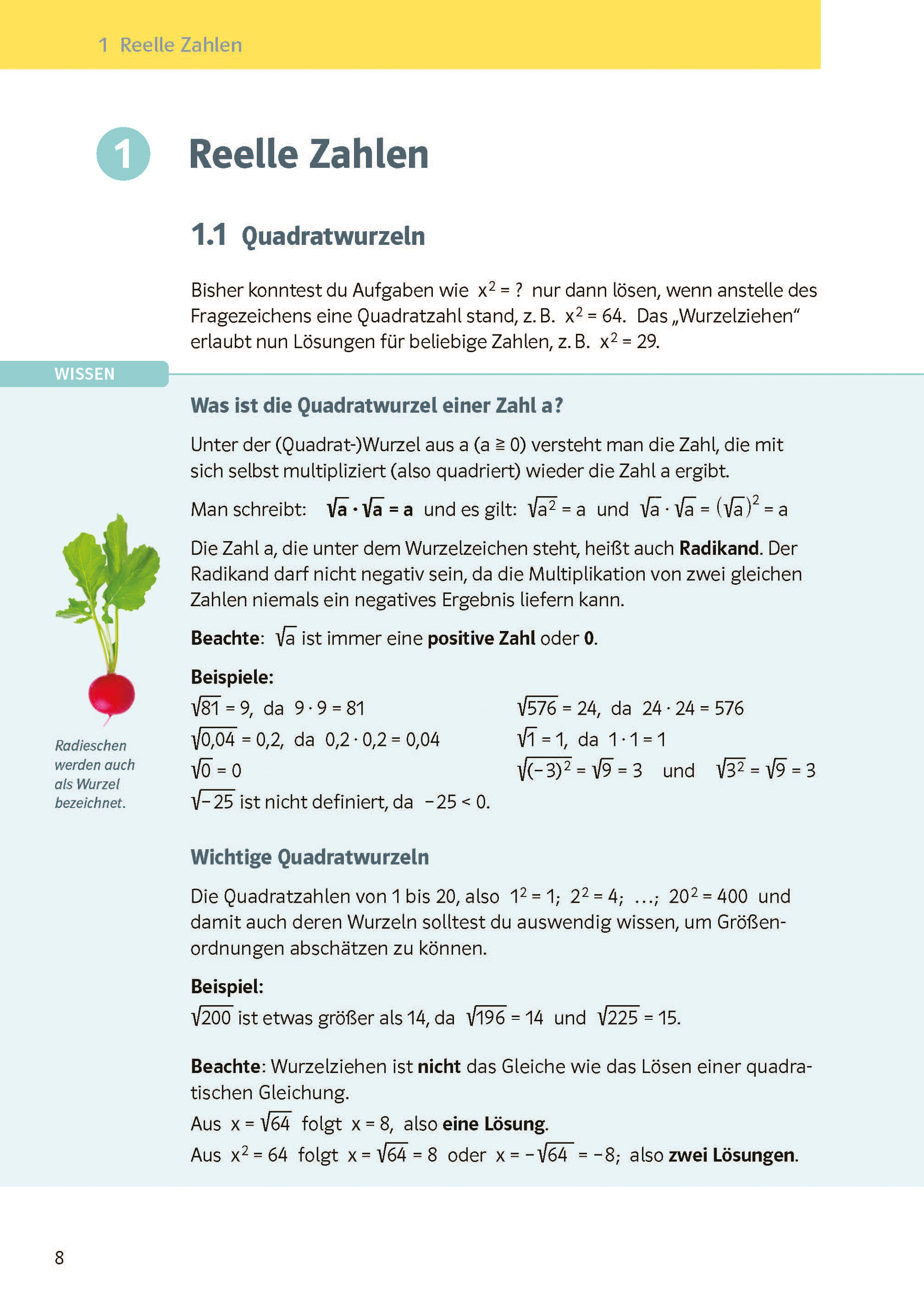 Klett KomplettTrainer Gymnasium Mathematik 9. Klasse
