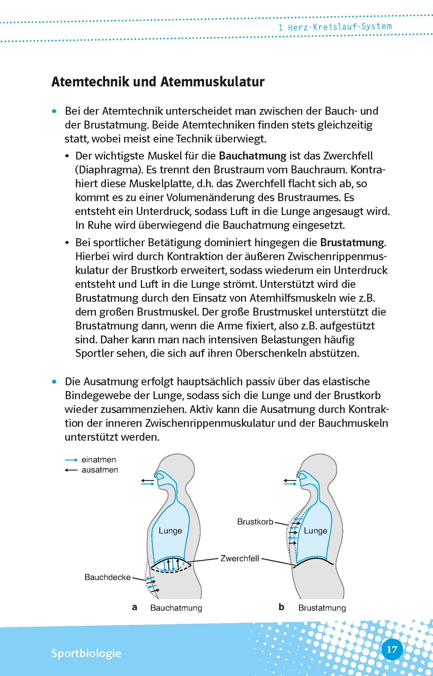 Klett Abi last minute Sport