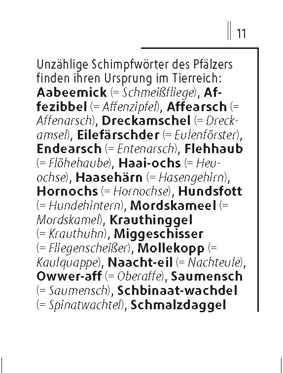 Langenscheidt Lilliput Pfälzisch