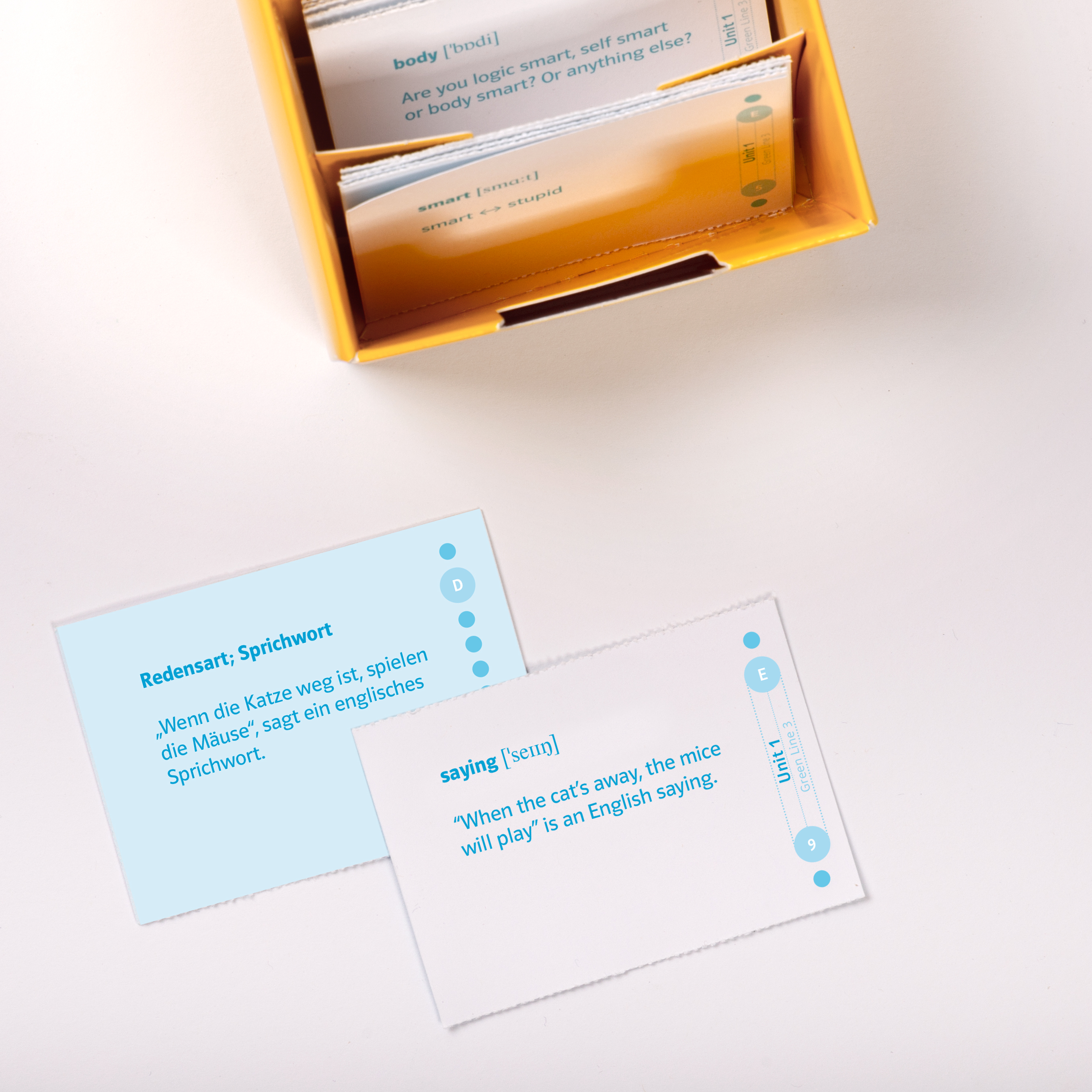 Klett Green Line 3 G8 Klasse 7 - Vokabel-Lernbox zum Schulbuch