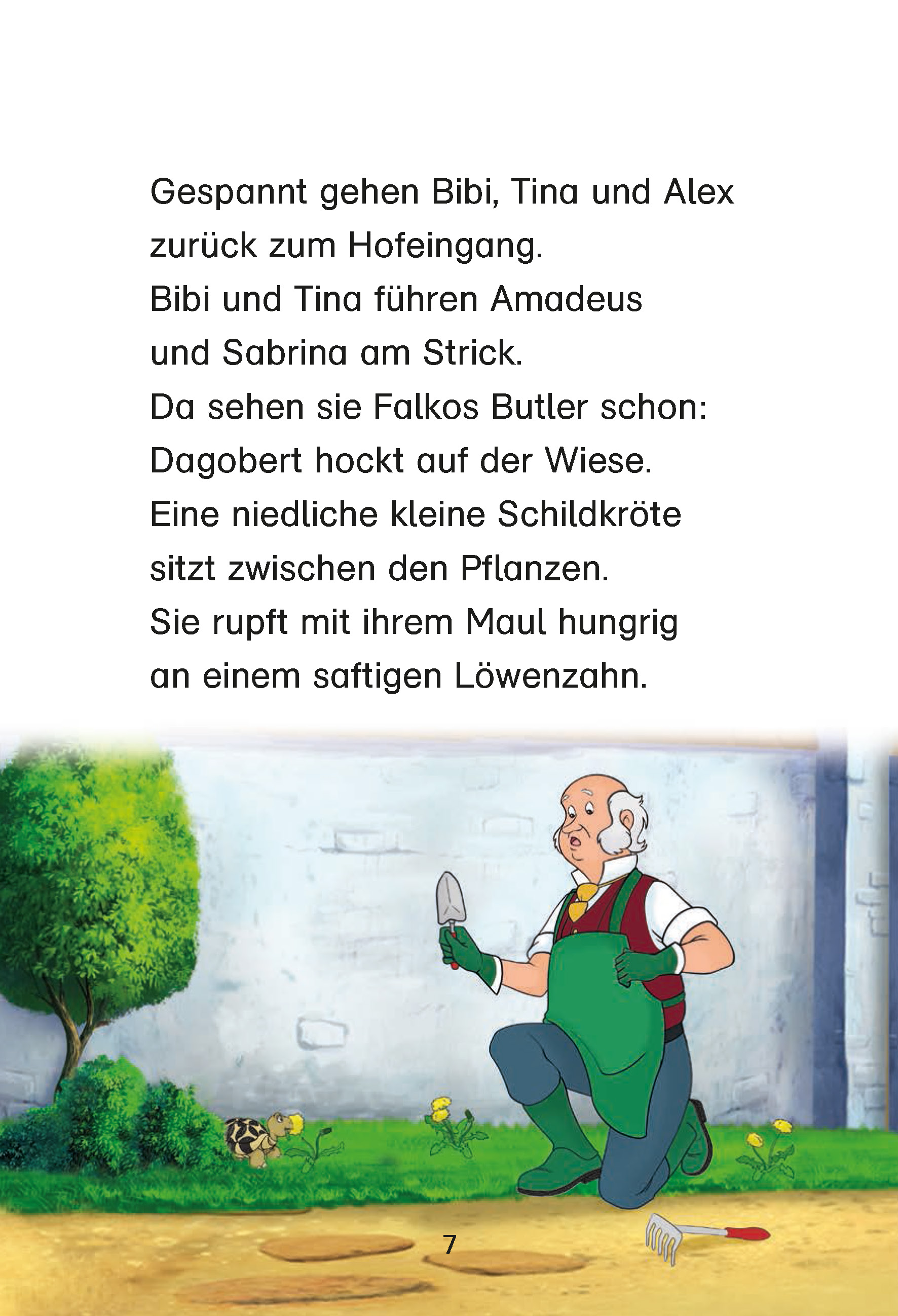 Bibi & Tina: Eine Schildkröte kommt selten allein Bibi & Tina: Eine Schildkröte kommt selten allein