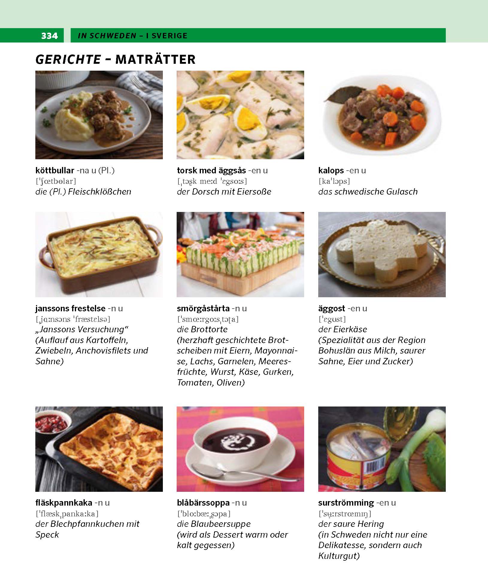 PONS Bildwörterbuch Schwedisch