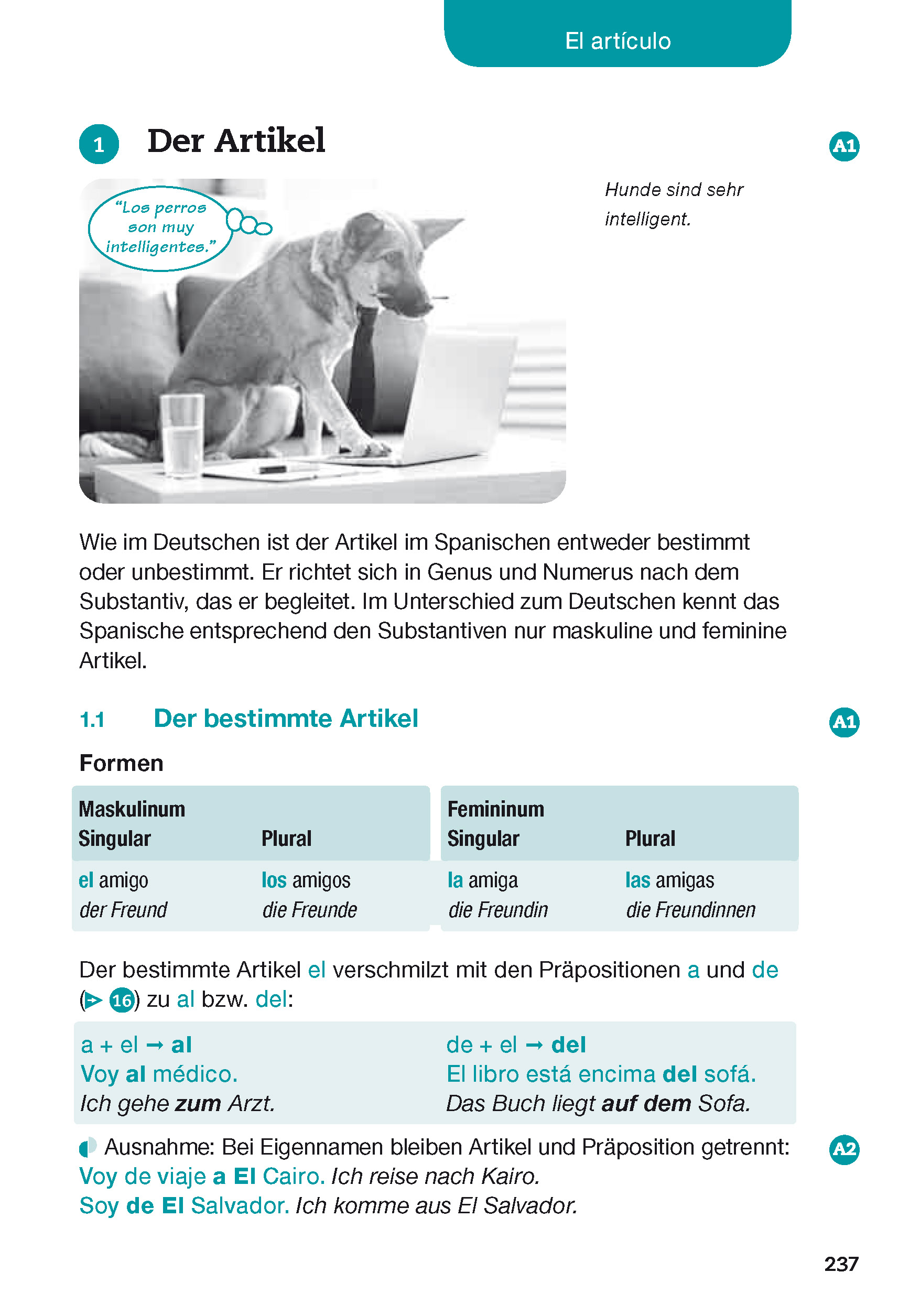 Langenscheidt Spanisch - alles drin