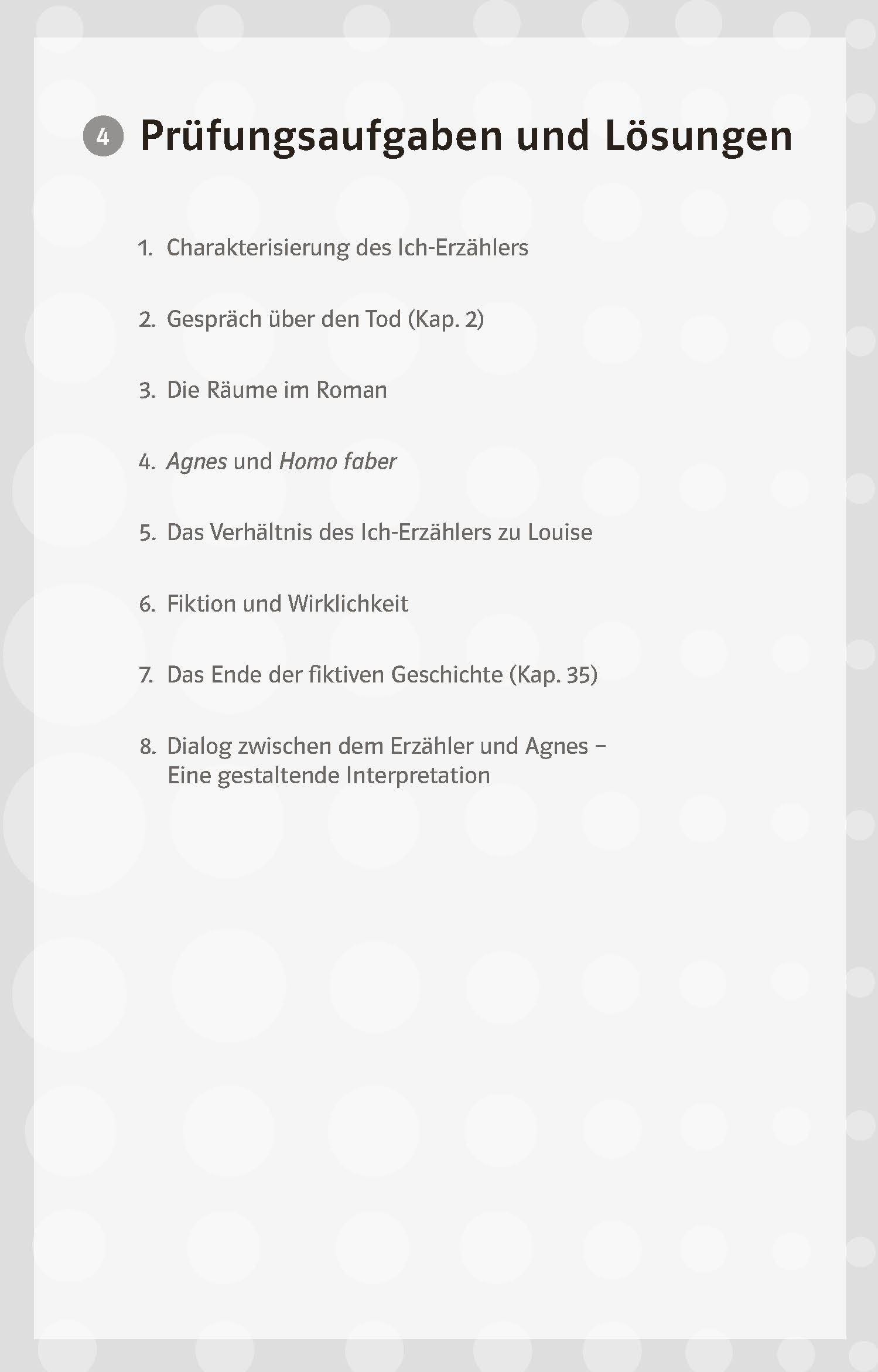 Klett Lektürehilfen Peter Stamm, Agnes