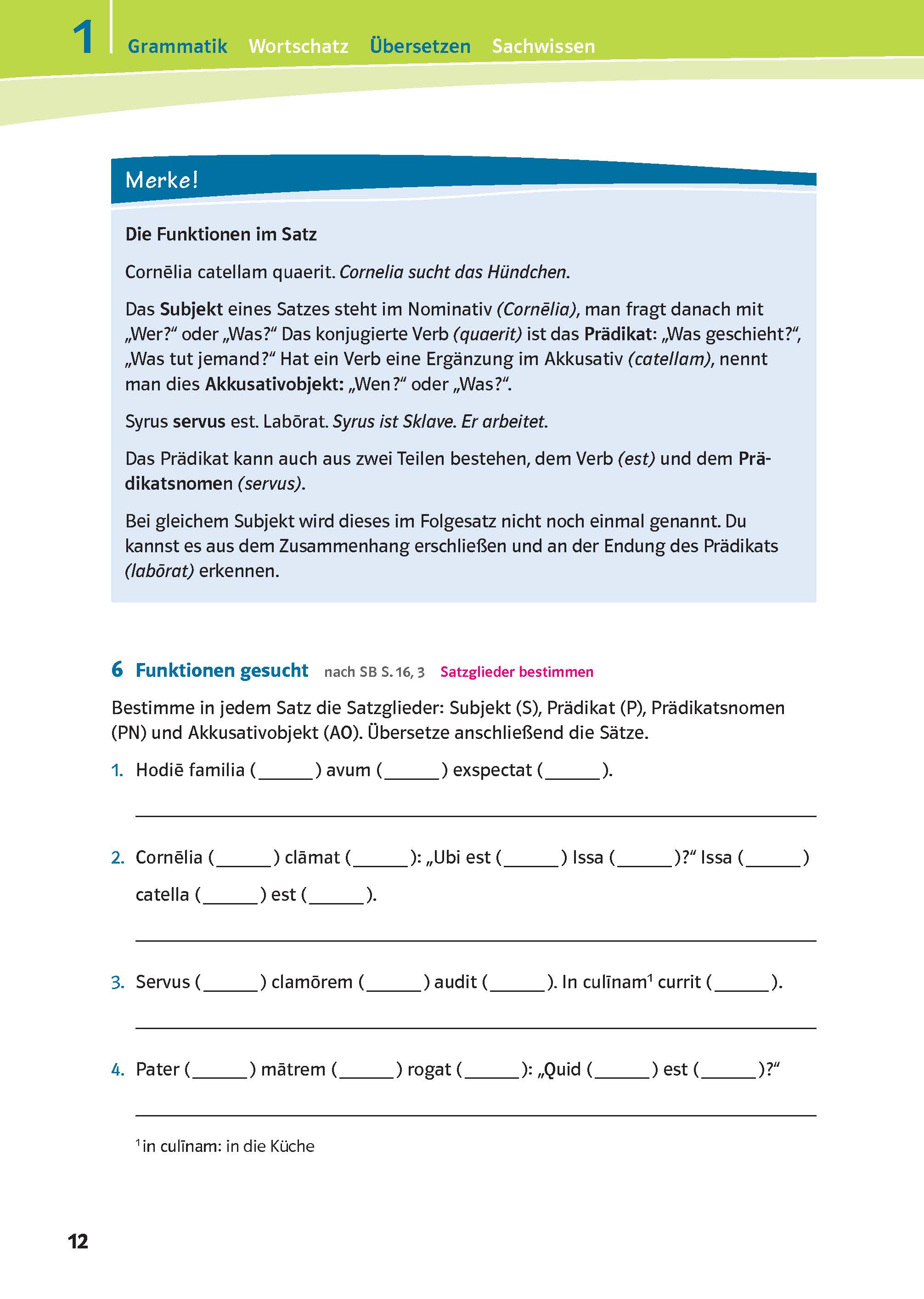 Pontes 1 - Das Trainingsbuch zum Schulbuch
