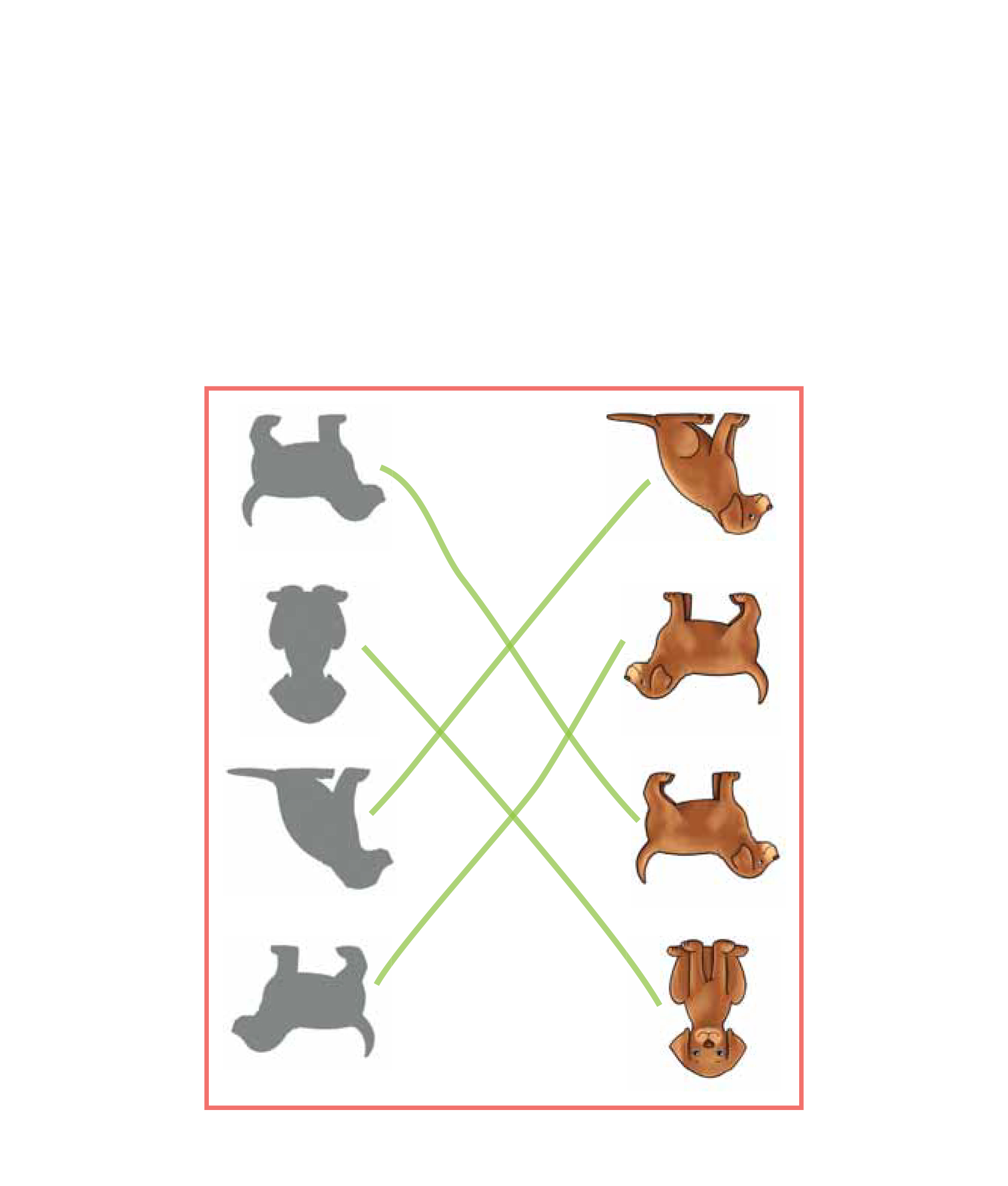 Klett Mein Lieblings-Block Rätseln mit süßen Tierbabys