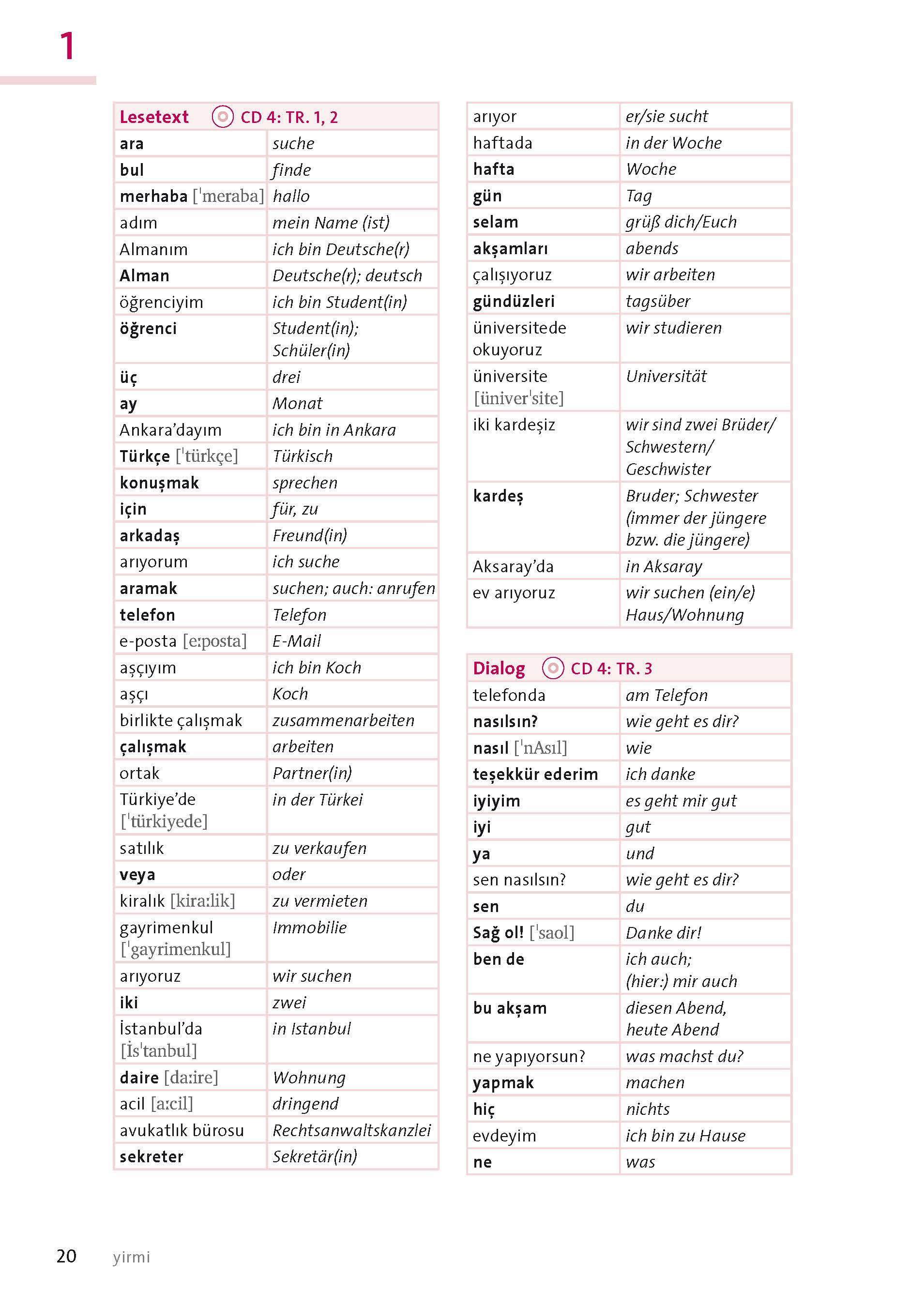 Langenscheidt Türkisch mit System
