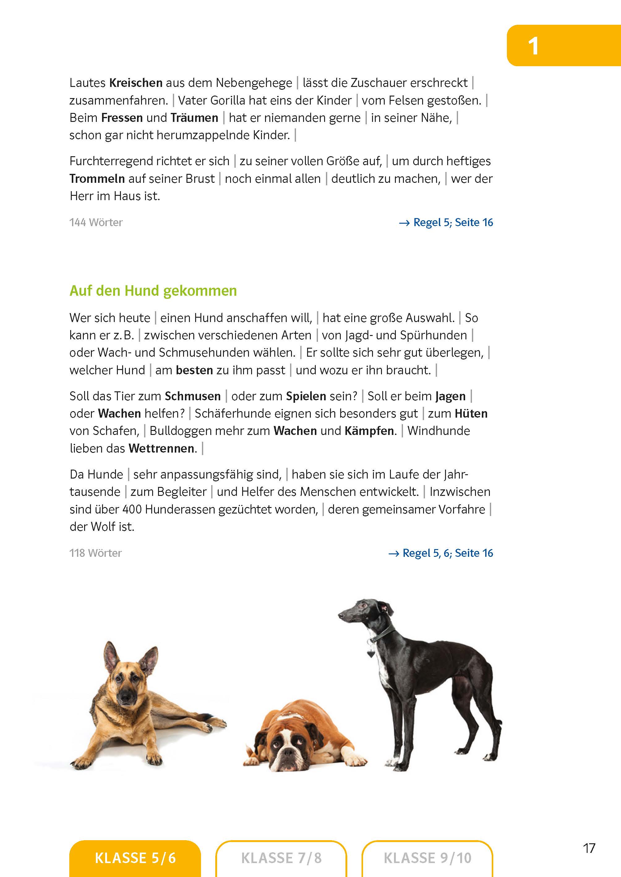 Klett Sicher in Deutsch Diktate 5.-10. Klasse Klett Sicher in Deutsch Diktate 5.-10. Klasse