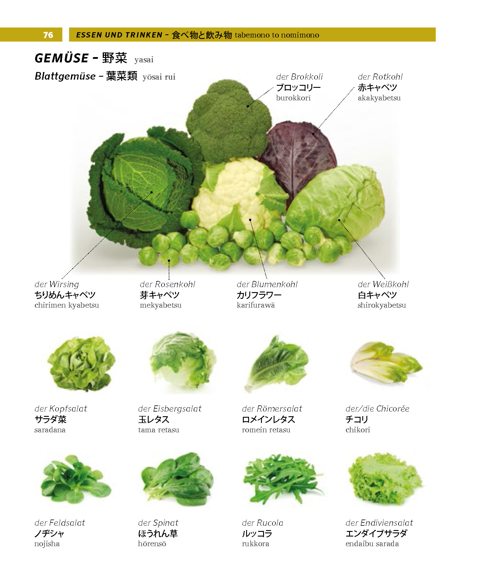 PONS Bildwörterbuch Japanisch