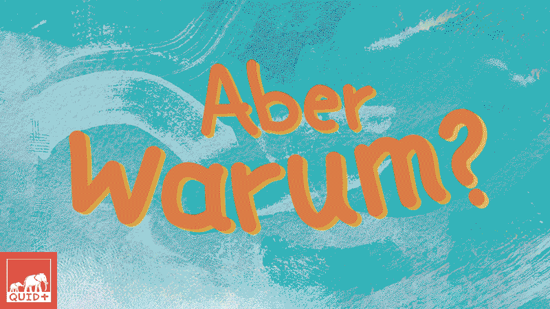 Der Text Aber Warum? steht in großen orangefarbenen Buchstaben auf einem blau-weiß gemusterten Hintergrund mit einem kleinen QUID+-Logo in der unteren linken Ecke.
